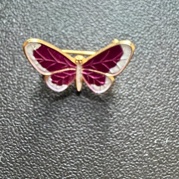 Assorted Insect Brooch Set - Picture 3 of 12